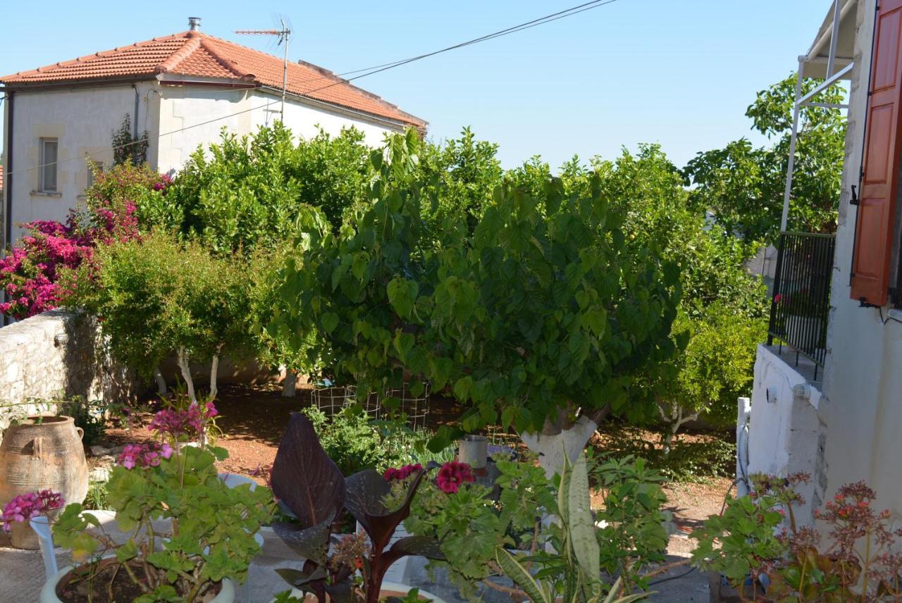 Sergios Village House Chania  Eksteriør billede