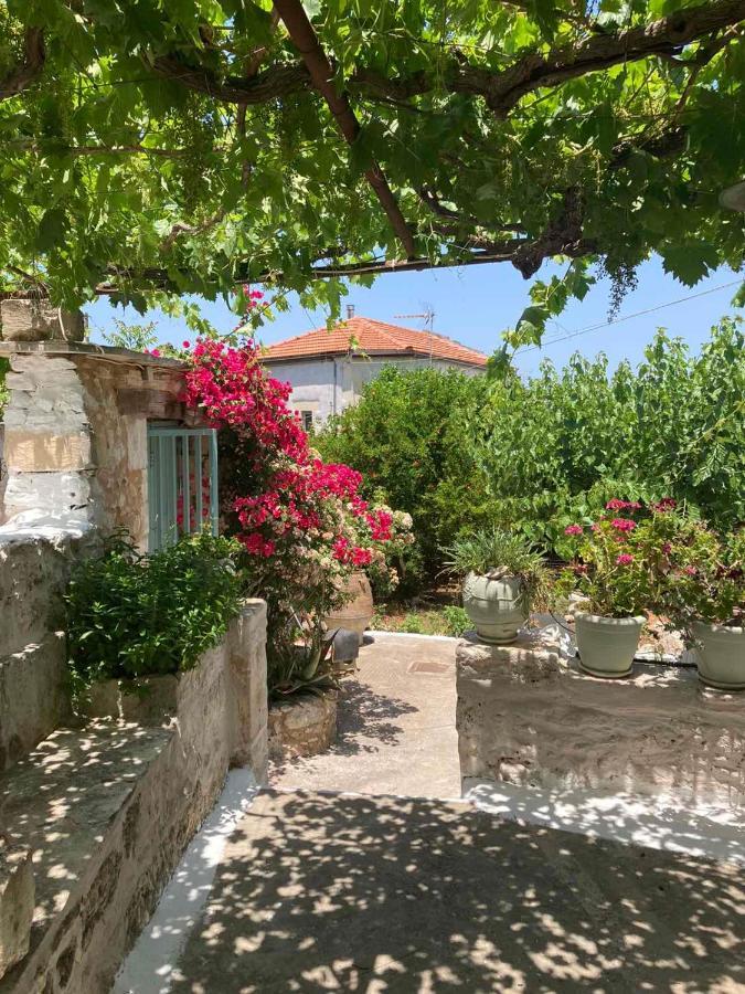 Sergios Village House Chania  Eksteriør billede