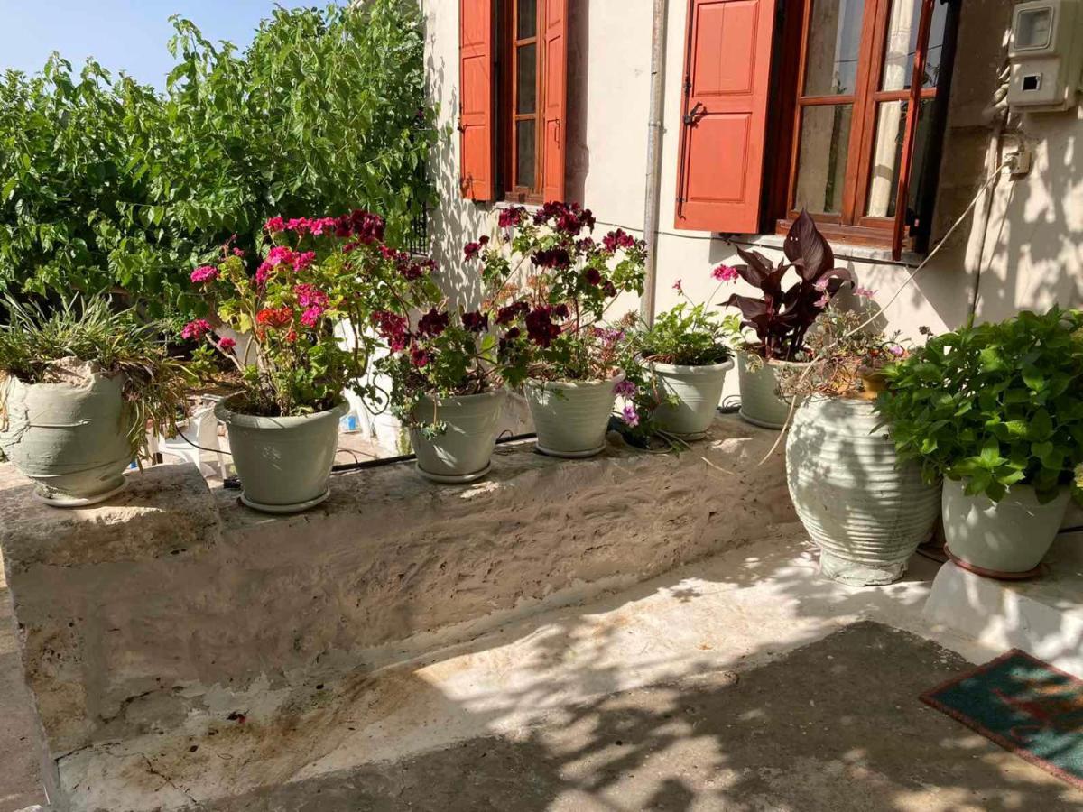 Sergios Village House Chania  Eksteriør billede