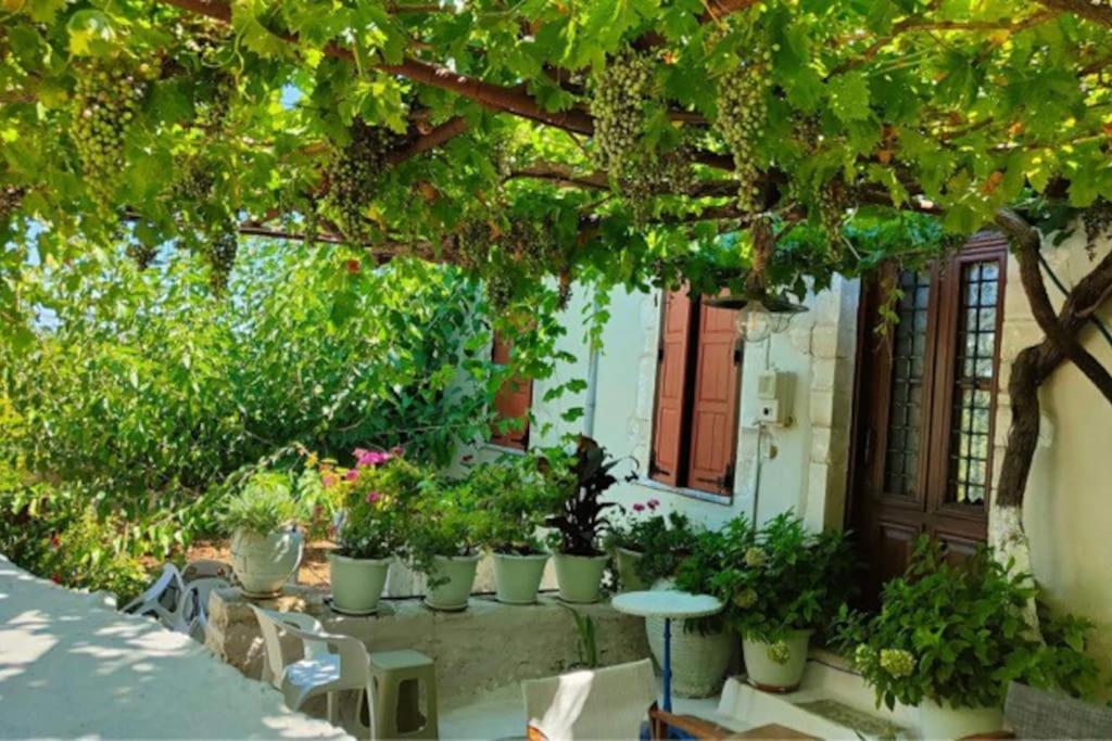 Sergios Village House Chania  Eksteriør billede