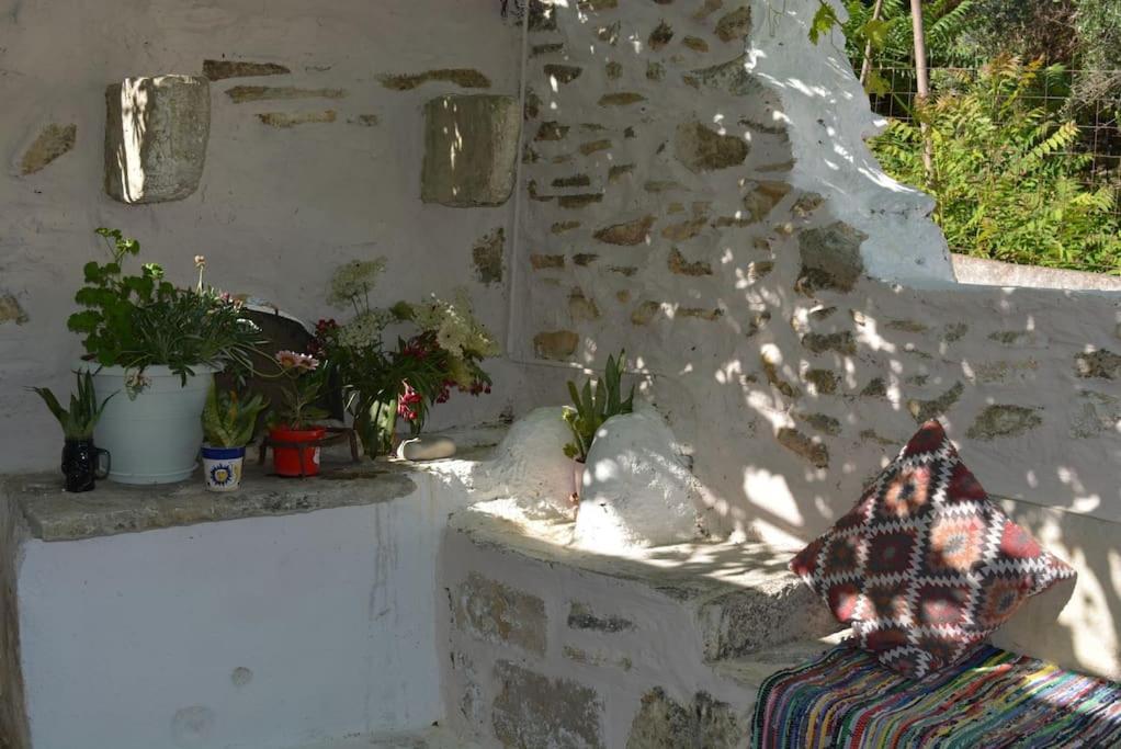 Sergios Village House Chania  Eksteriør billede