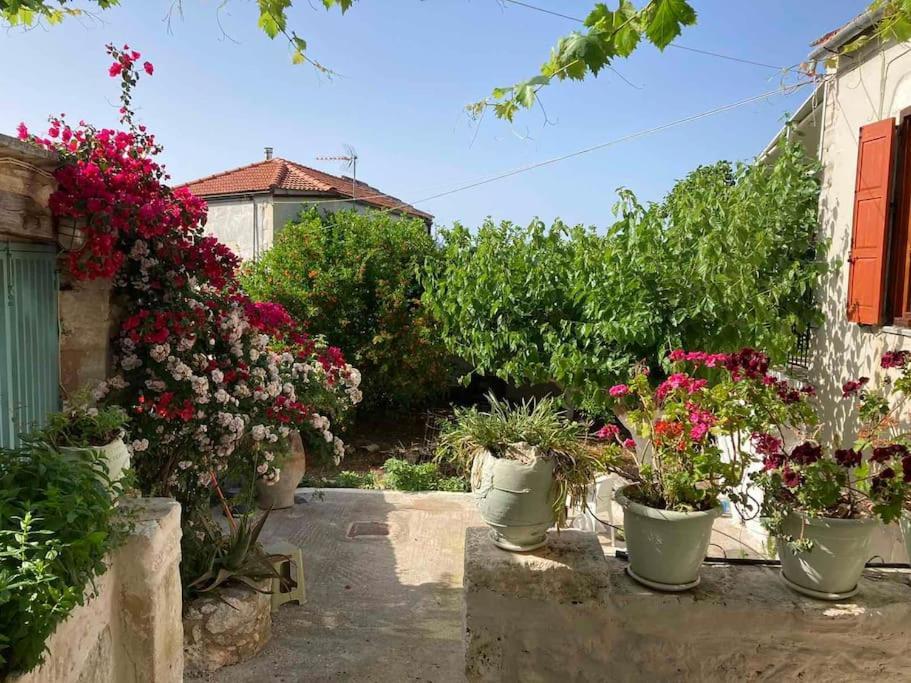 Sergios Village House Chania  Eksteriør billede